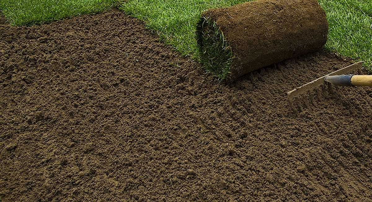 When to use topsoil